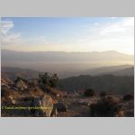 20060812_JoshuaYuccaTree_028 copia.jpg